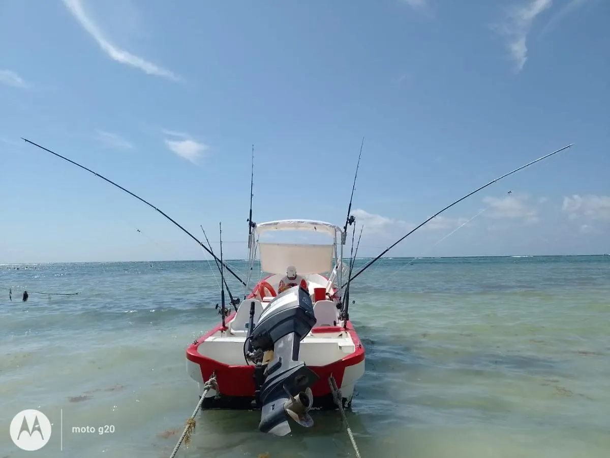 El Padrino Vandrarhem Akumal